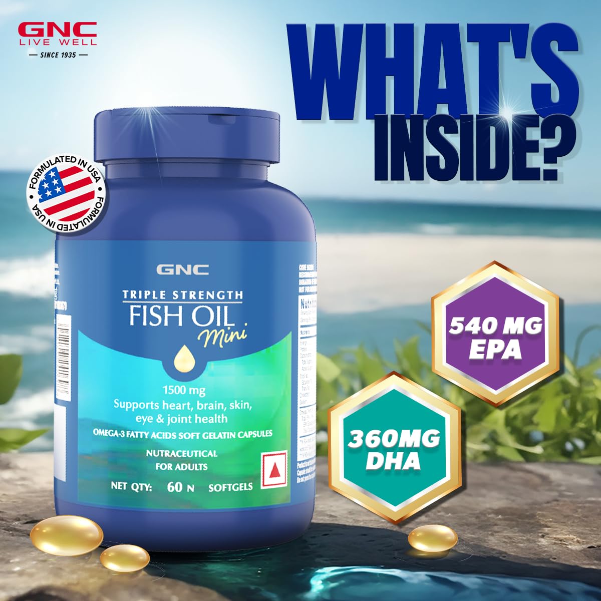 Gnc Fish Oil Triple Strength 60 soft gels