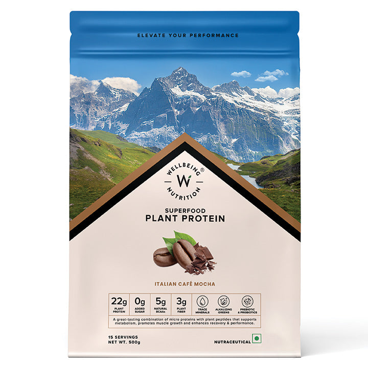WELLBEING NUTRITION PLANT PROTEIN 500 GM ITALIAN CAFE MOCHA